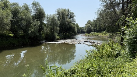 Kamniška Bistrica ni primerna za kopanje (foto Marjetka Levstek) 